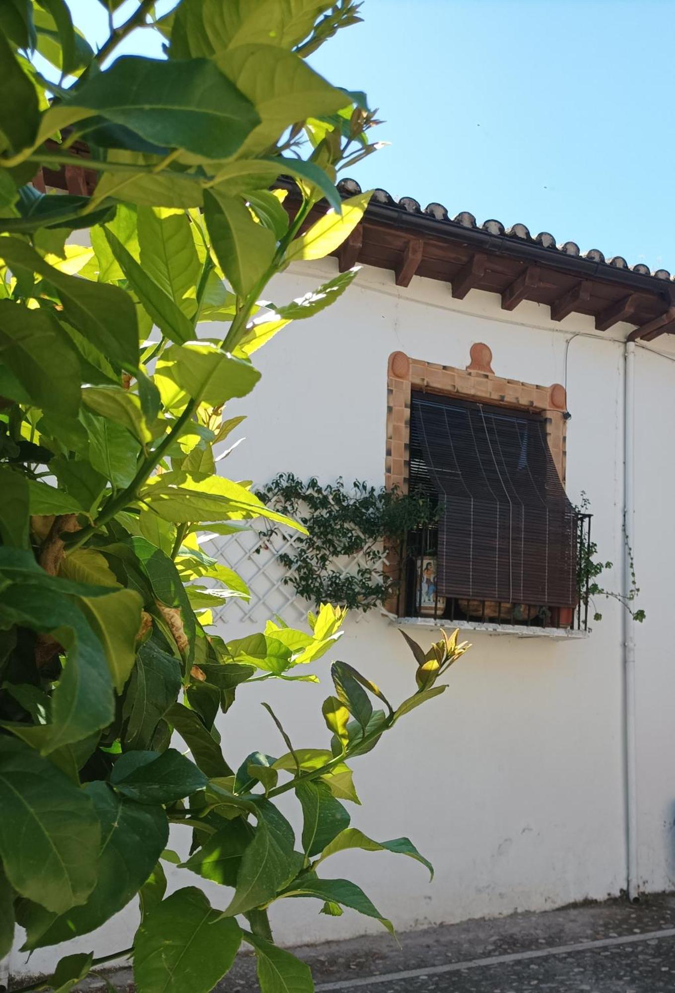 La Solana, Alojamiento Y Alfareria Arenas de San Pedro Exterior foto